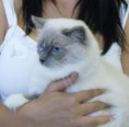 /album/cooki-v-novem-domove/p8170029srpen-2012-jpg/